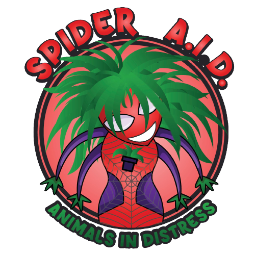 Spider A.I.D.
